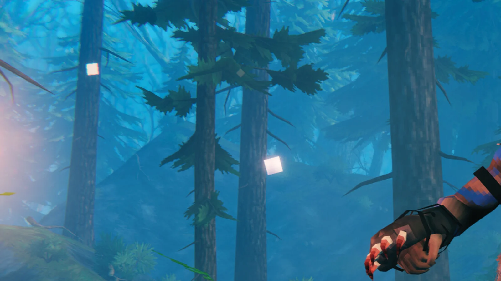 Valheim Video Guides and Route Demonstrations